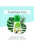Stevialı Sıvı Tatlandırıcı 200 ml Stevia Bazlı 6