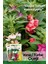 Türbe Çiçeği (Impatiens Balsamina) Çiçek Tohumu 30 Adet 1