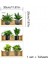 Raflı Bitki Tasarımlı Yapışkanlı Sticker 20X30 cm 3lü Set Ev Dekorasyonu Çiçek Duvar Çıkartması 2