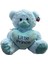 Peluş Ayı 45 cm 23541 Mavi 1
