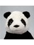 Peluş Panda Oyuncak Yumuşak Peluş Oyuncak 30CM PC063 5