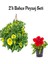 2'li Set Sarı+Kırmızı 2 Adet Petunya Çiçeği (10-30 Cm) Dış Mekan Bitkisi 1