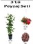 3'lü Peyzaj Seti Hanımeli Çiçeği Kırmızı Petunya Çiçeği Curf 1