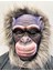 Gri Renk Saçlı Yaşlı Orangutan Maskesi Maymun Maskesi Mega Peluş 15 No 1
