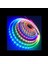 IP65 Hortum Işık Vıp Rgb 7 Metre 335 LED Rgb Hortum LED Işık Dıs Mekan Su Geçirmez Renkli LED Işık 5