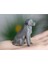 Low Poly Golden Retriever Figürü 2