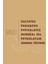 Raw Shea Butter Nemlendirici Durulanmayan Saç Kremi 340 ml 5