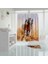 Banyo Paspas ve Tek Kanat Duş Perdesi 1X180X200 Set Banyo Halısı Horses 2