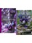 Böğürtlen Kışı / Mart Menekşeleri (2 Kitap Set) 1