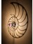 "nautilus" 2m Anahtarlı Dekoratif Desenli Gölge Aplik 3