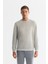 Erkek Gri Bisiklet Yaka Pamuklu Baskılı Elastan Sweatshirt A42y1243 1