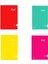 Color Defter Plastik Kapak Dikişli Cool A4 100 Yaprak Kareli 1