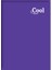 Color Cool Güzel Yazı Defteri A4 40 Yaprak 4