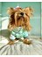 Minty Palm Kalın Penye Köpek Tulum Pijama 5
