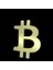 14 Ayar Altın Kolye Ucu bitcoin GM187 1 gr 1
