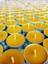 (12 Adet) Tealight Doğal Petek Balmumu Mum Standart Boy Beeswax Candle 1