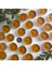 (12 Adet) Tealight Doğal Petek Balmumu Mum Standart Boy Beeswax Candle 2