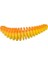 Powerbait Pupa Suni Yem Fl.orange - Ss. Yellow 35MM - 10LU 1