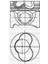 Motor Piston Segman Std 1-2 Piston Bora-Caddy Iı-Golf Iıı-Iv-Passat-Polo-A3-A4 1.9tdı 79.51MM 1