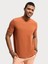 Regular Fit Kiremit Erkek T-Shirt LF2034875 1