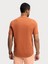 Regular Fit Kiremit Erkek T-Shirt LF2034875 3