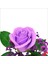 Pvc Kutulu Cipsolu Yapay Mor Gül - 25CM x 7cm 5