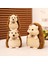 25CM Küçük Kirpi Peluş Oyuncak (Yurt Dışından) 4