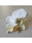 Orchid - İnci Detaylı Küpe - Altın Renk 1
