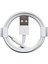 USB-A Lightning Şarj Kablosu 1M Beyaz 1