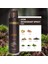 Leon Edp Erkek Parfüm 100 ml ve Deodorant 150 ml 4