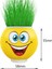 Çimoji Emoji Çim Adam 10 Adet Karne Hediyesi 2