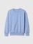 Erkek Çocuk Açık Mavi Vintage Soft Gap Logo Fleece Sweatshirt 2