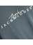 Jack&jones Varenna Branding Crew Neck Erkek Gri Yuvarlak Yaka Tişört 2