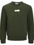 Jack&jones Pan Crew Neck Erkek Yeşil Yuvarlak Yaka Sweatshirt 1
