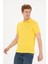 Erkek Basic Polo Yaka Tişört 4
