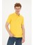 Erkek Basic Polo Yaka Tişört 5