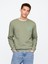 Erkek Yeşil Gap Logo Fleece Sweatshirt 1