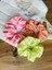Cozy Pinterest Kumaş Lastik Toka Seti Scrunchies 5