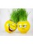 Çimoji Emoji Çim Adam 24 Adet Baby Shower Hediye Kreş Çocukları İçin Hediye 2