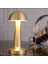 Mantar Model Retro Masa Lambası Gold Altın Renkli Dimmerli Şarjlı Dekoratif Dokunmatik Masa Lambası 1