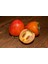 Çikolatalı Trabzon Hurması (Diospyros Digyna) – "black Sapote" 5 1