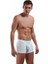 Adonis Boxer 1770 1