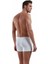 Adonis Boxer 1770 2