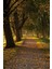 Autumn Kanvas Tablo 2