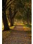 Autumn Kanvas Tablo 5