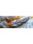 Feather Dream Kanvas Tablo 2