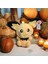 Pokemon Peluş Oyuncak 2