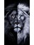 Araç Kapı Direği Kaplama Folyosu Uv Baskılı 2'li Set 22X49 cm - Aslan Desenli 2