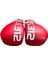 Boks Eldiveni Dişlik Set Kick Boks Eldiveni, Muay Thai Eldiveni, Maç ve Antrenman Eldiveni + Dişlik 3