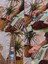 9'lu Set Mat Pena (Elektro, Akustik,klasik Gitar Penası) Ukulele Penası (0,46 0,71 0,96) 3